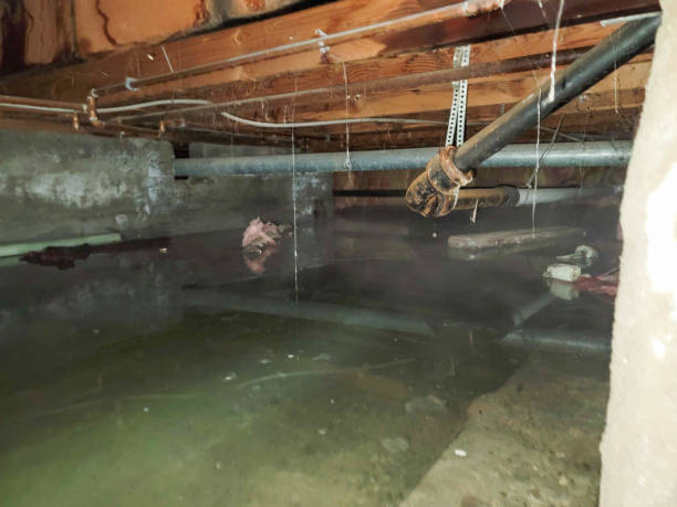 Best Residential water damage restoration  in Southmayd, TX