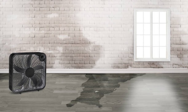 Best Emergency water damage restoration  in Southmayd, TX