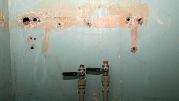 Best Water damage restoration process  in Southmayd, TX